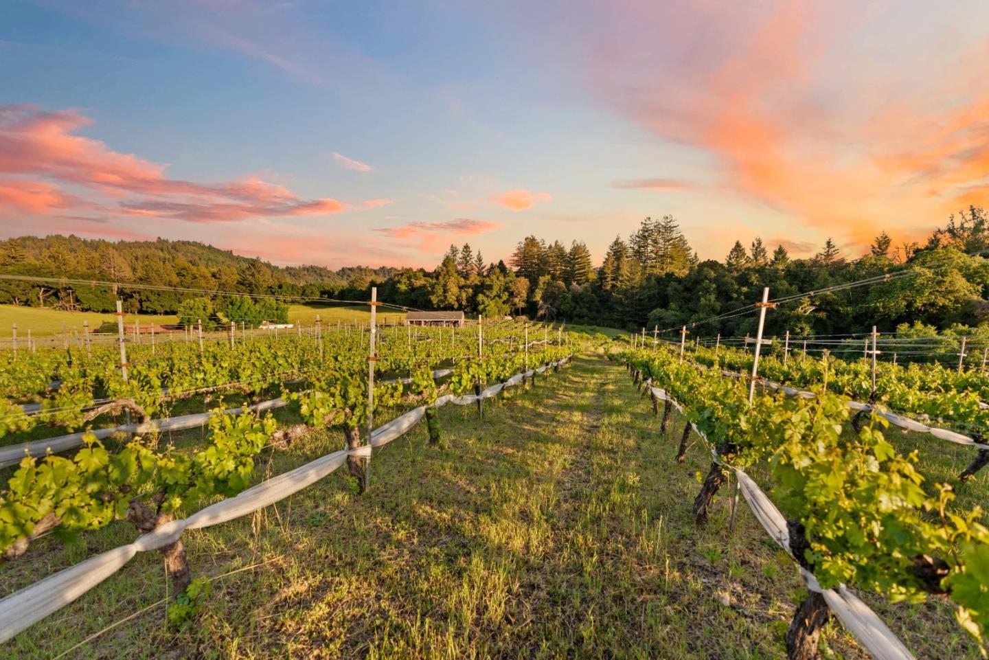 Detail Gallery Image 97 of 102 For 375 Old Mount Rd, Felton,  CA 95018 - 3 Beds | 2/1 Baths