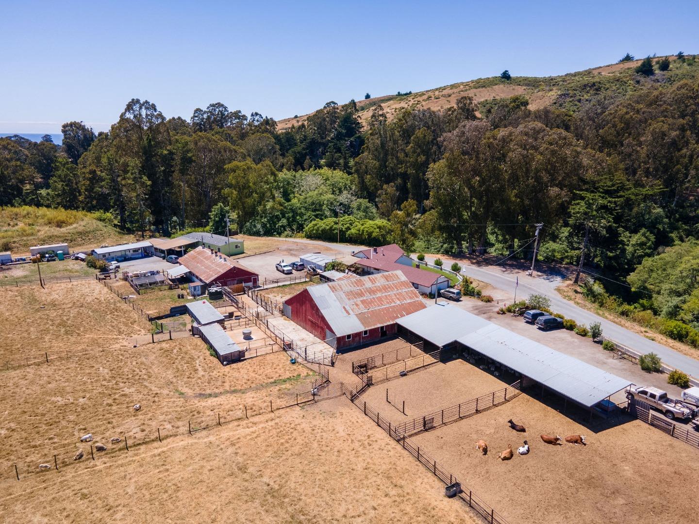 Detail Gallery Image 21 of 28 For 746 Tunitas Creek Rd, Half Moon Bay,  CA 94019 - 3 Beds | 2 Baths