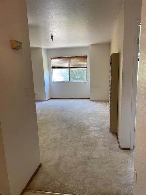 210 Vista Prieta Court, Santa Cruz, CA, 95062