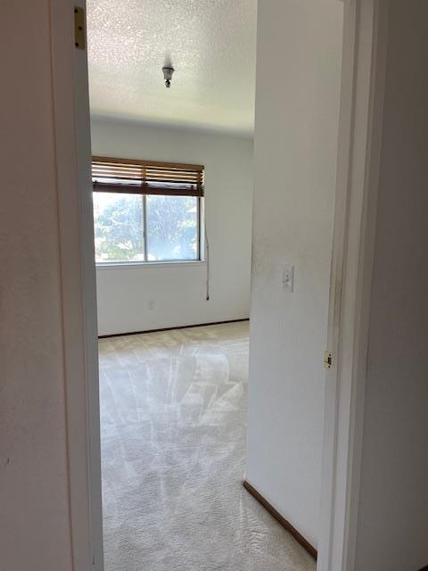 210 Vista Prieta Court, Santa Cruz, CA, 95062