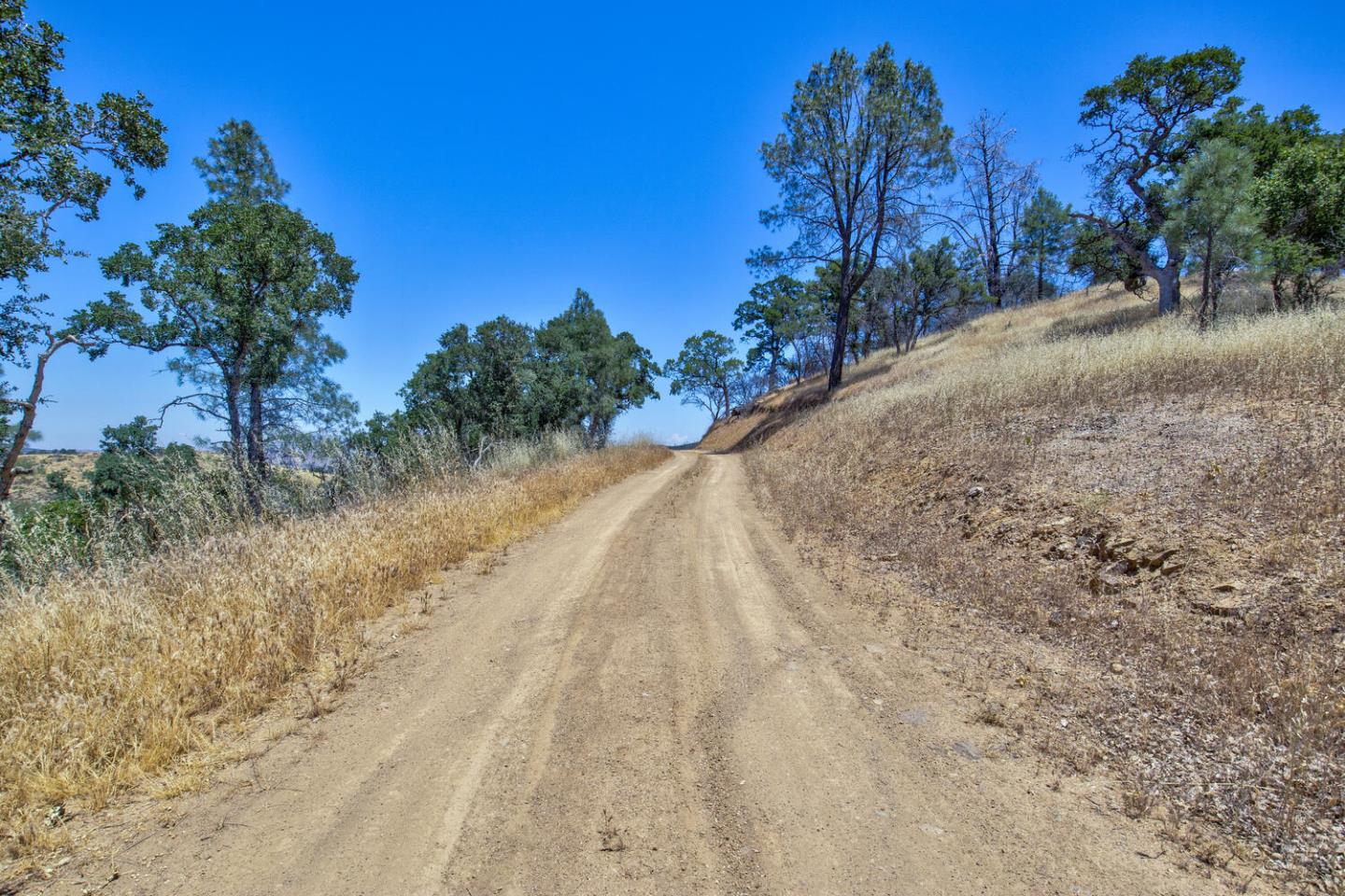 Detail Gallery Image 10 of 49 For 15050 Del Puerto Canyon Rd, –,  CA 94550 - – Beds | – Baths