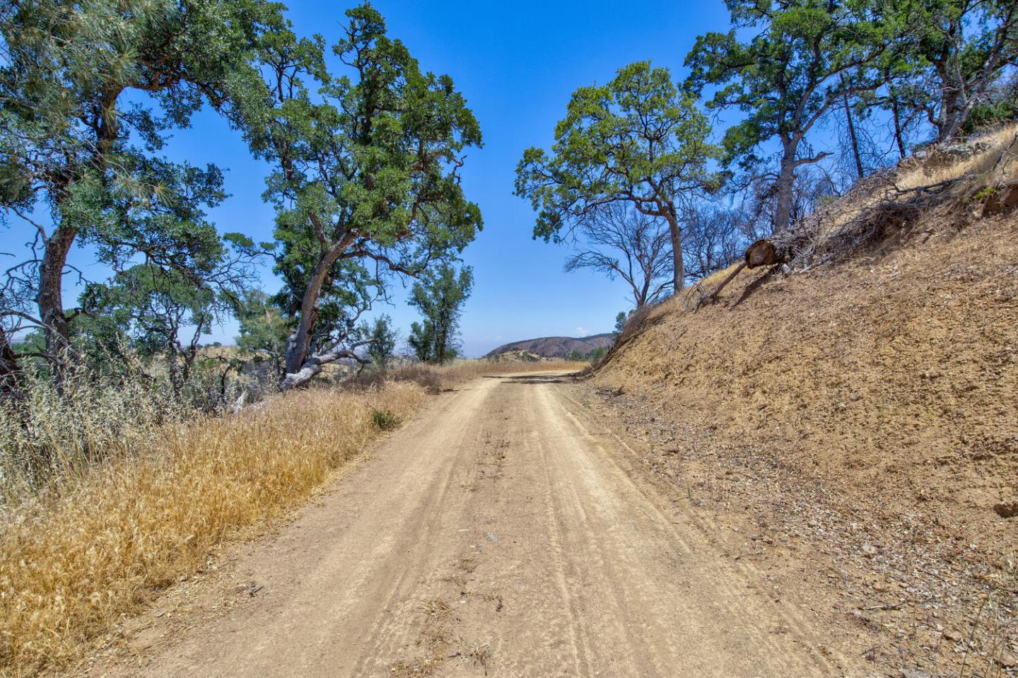 Detail Gallery Image 11 of 49 For 15050 Del Puerto Canyon Rd, –,  CA 94550 - – Beds | – Baths