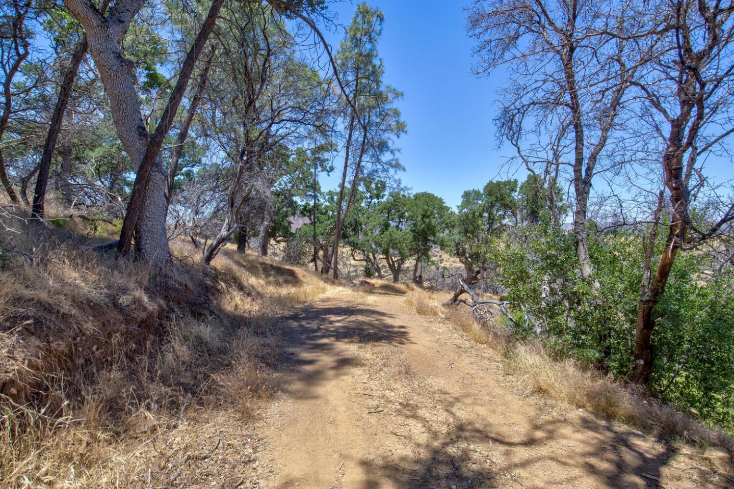 Detail Gallery Image 18 of 49 For 15050 Del Puerto Canyon Rd, –,  CA 94550 - – Beds | – Baths