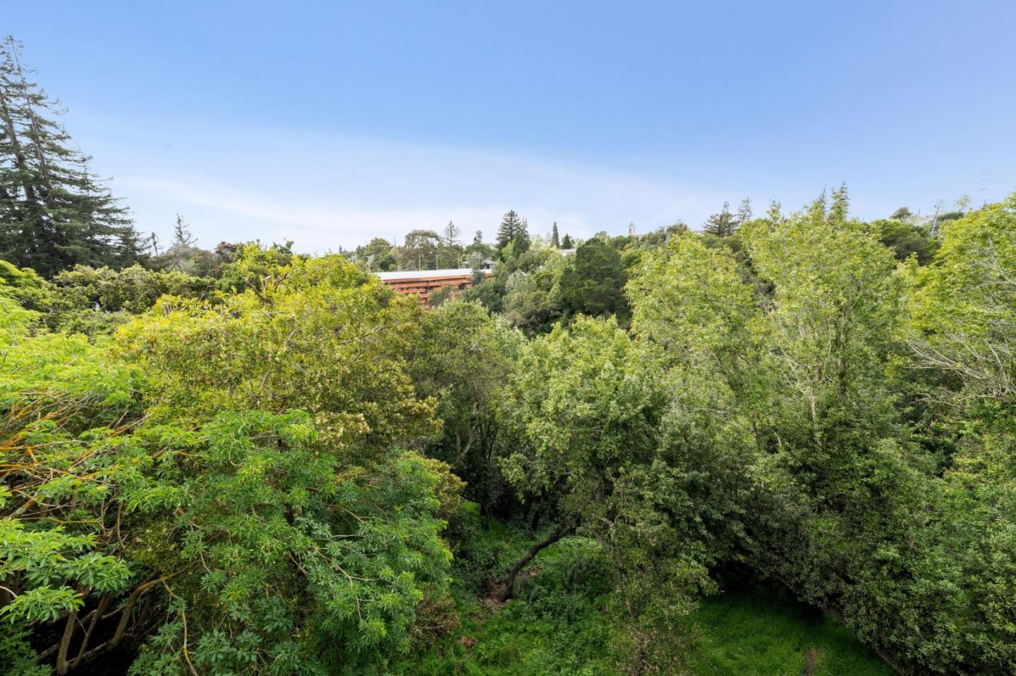 Detail Gallery Image 36 of 68 For 4393 Bridgeview Dr, Oakland,  CA 94602 - 4 Beds | 3/1 Baths