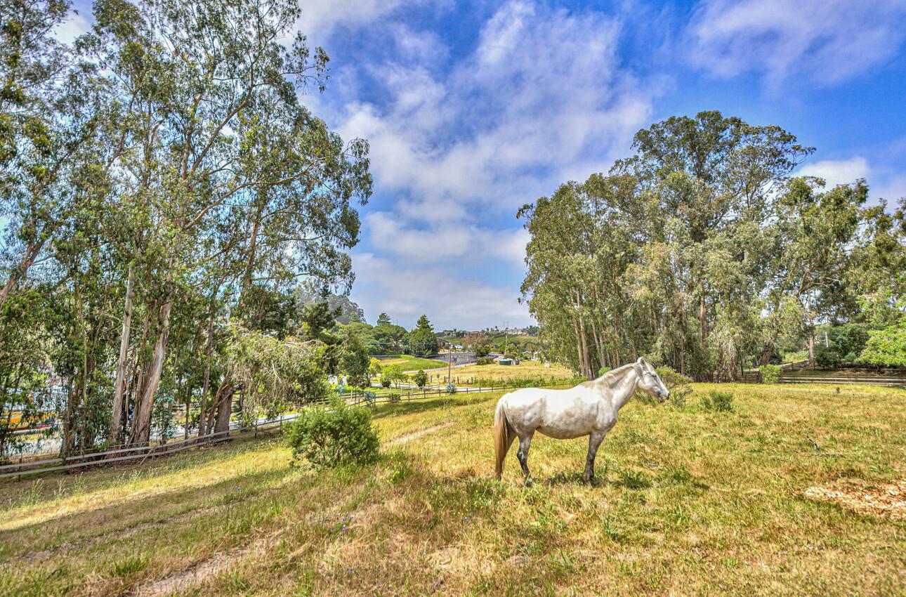 Detail Gallery Image 45 of 47 For 8789 Ormart Rd, Castroville,  CA 95012 - 2 Beds | 2 Baths