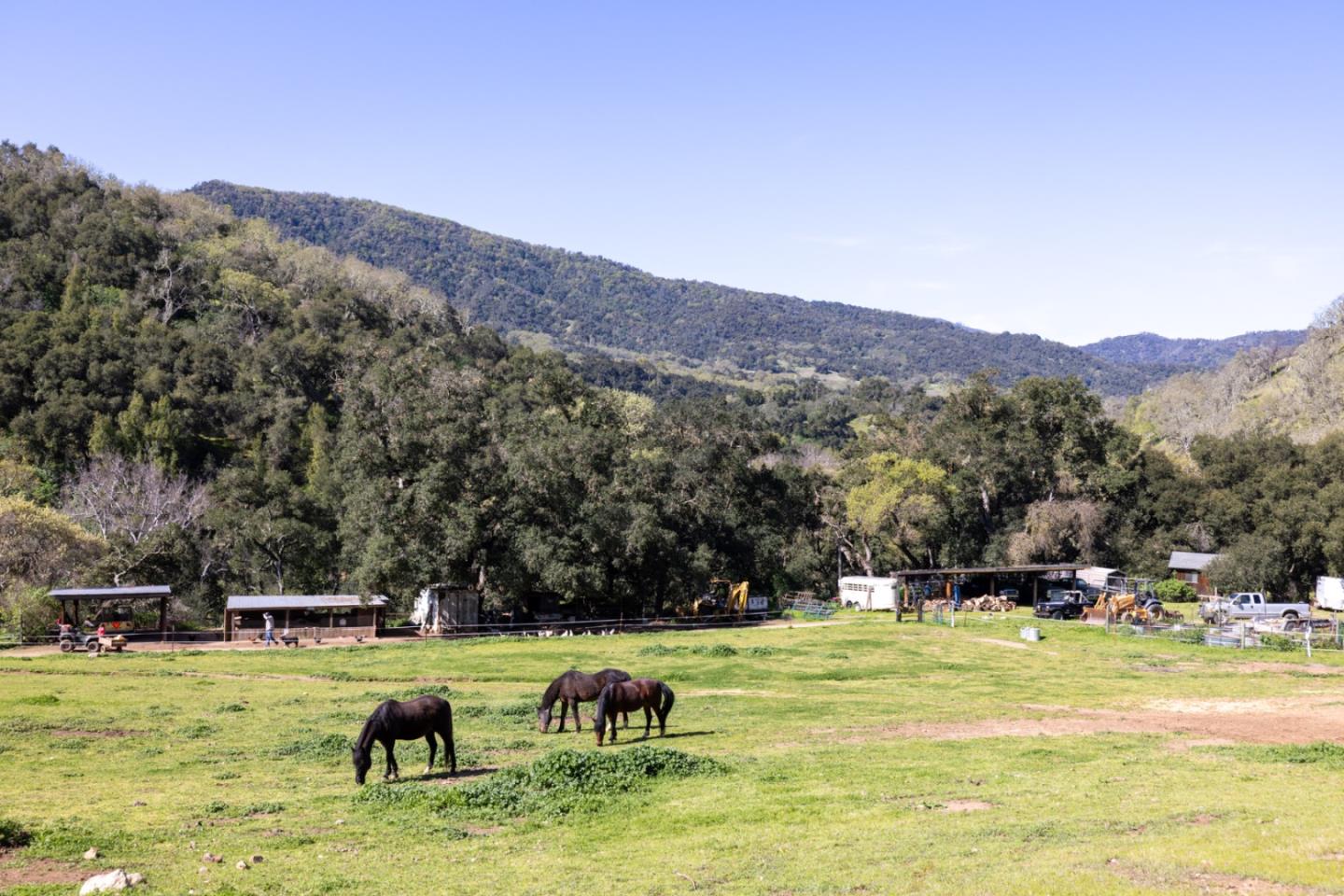 Detail Gallery Image 1 of 42 For 20215 Cachagua Rd, Carmel Valley,  CA 93924 - 3 Beds | 2 Baths