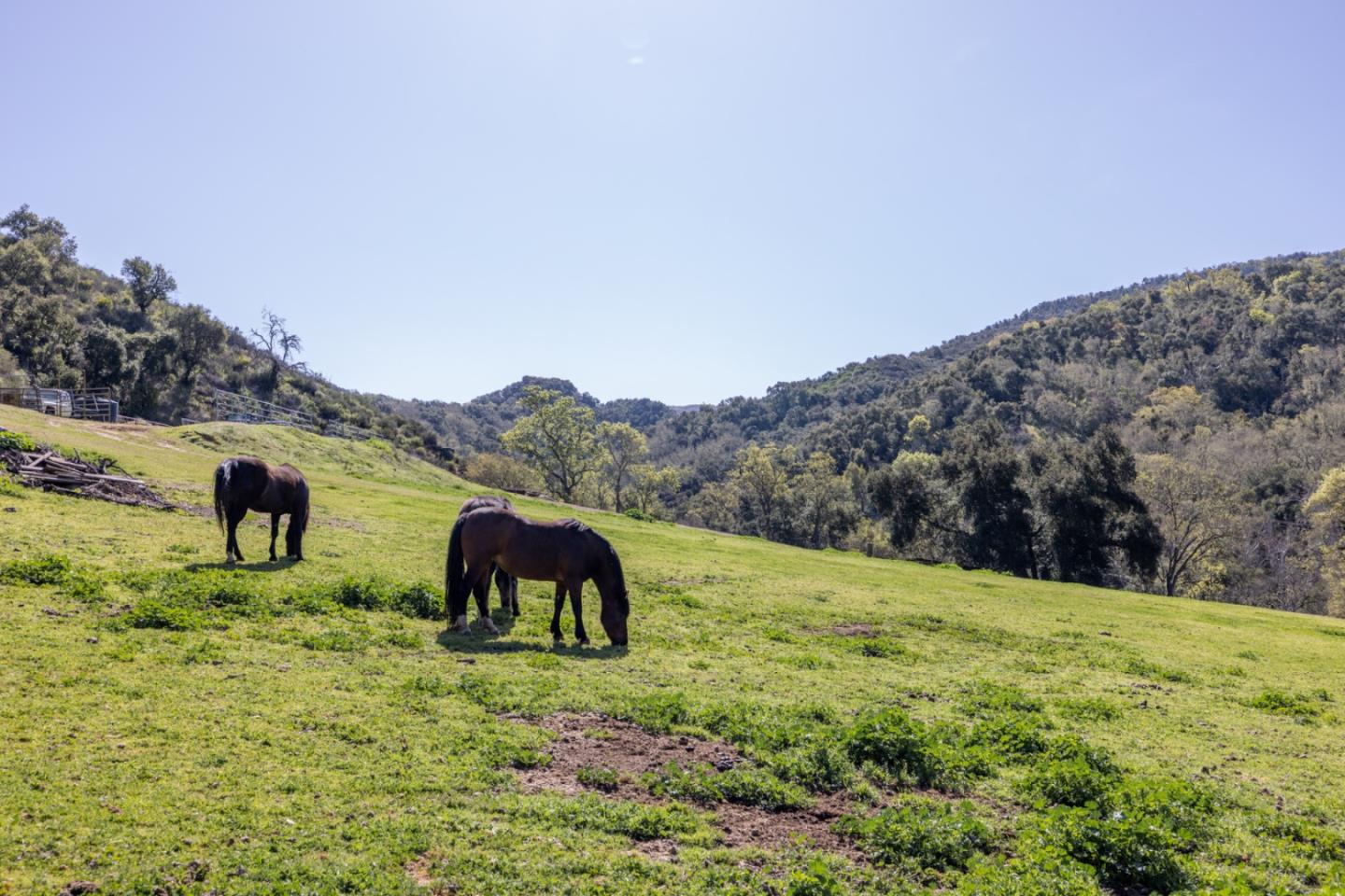 Detail Gallery Image 14 of 42 For 20215 Cachagua Rd, Carmel Valley,  CA 93924 - 3 Beds | 2 Baths