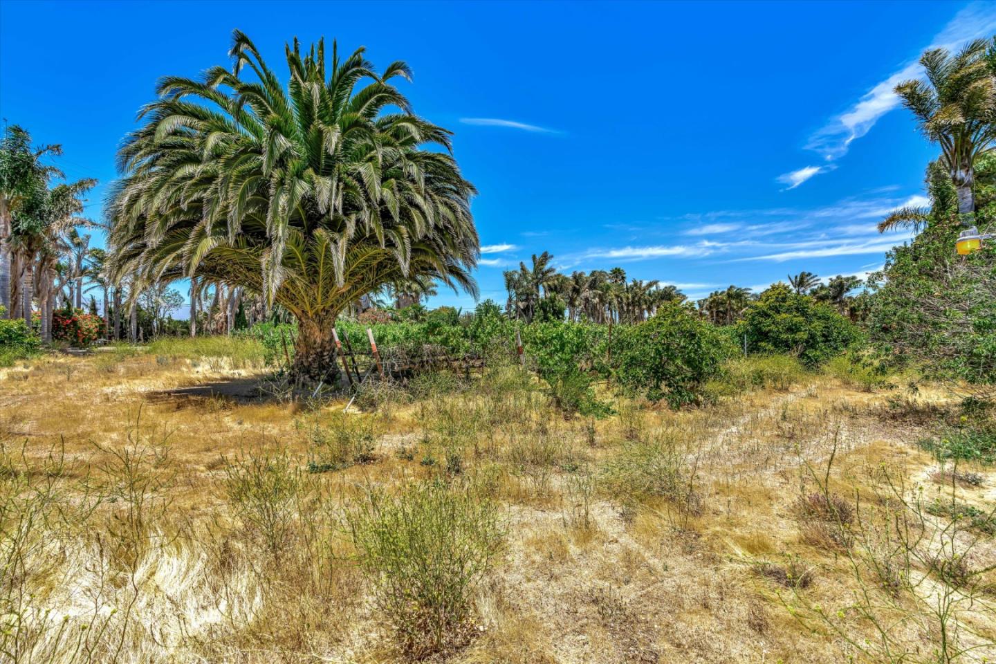 Detail Gallery Image 118 of 120 For 1761 Metz Rd, Soledad,  CA 93960 - 4 Beds | 2/3 Baths