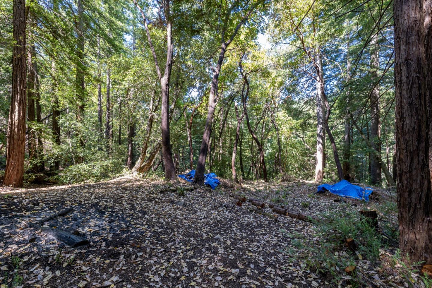 Detail Gallery Image 32 of 84 For 12106 Love Creek Rd, Ben Lomond,  CA 95005 - 1 Beds | 1 Baths