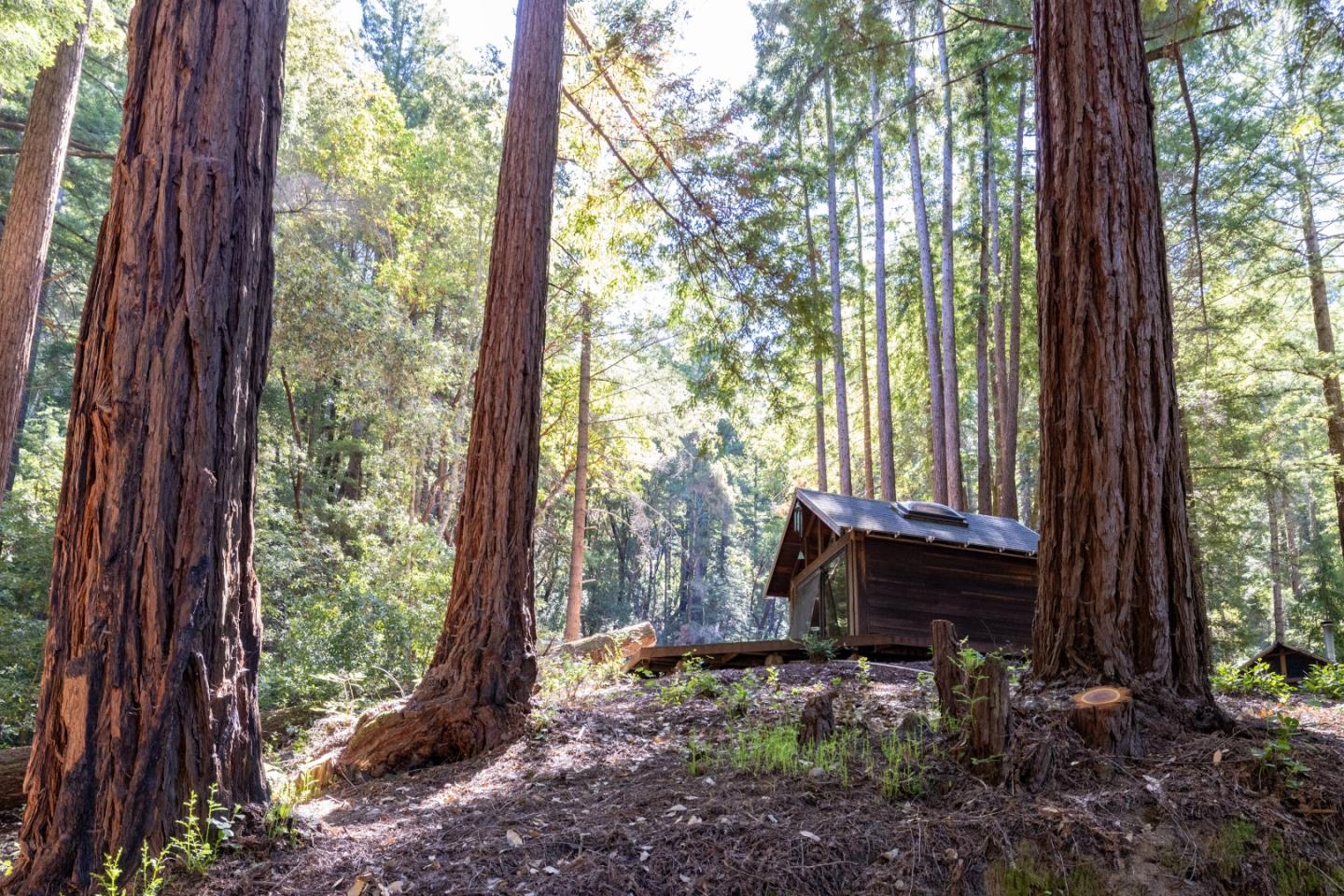 Detail Gallery Image 54 of 84 For 12106 Love Creek Rd, Ben Lomond,  CA 95005 - 1 Beds | 1 Baths