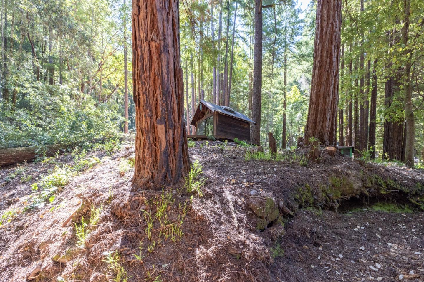 Detail Gallery Image 55 of 84 For 12106 Love Creek Rd, Ben Lomond,  CA 95005 - 1 Beds | 1 Baths