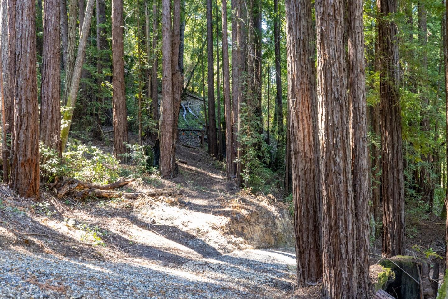 Detail Gallery Image 76 of 84 For 12106 Love Creek Rd, Ben Lomond,  CA 95005 - 1 Beds | 1 Baths