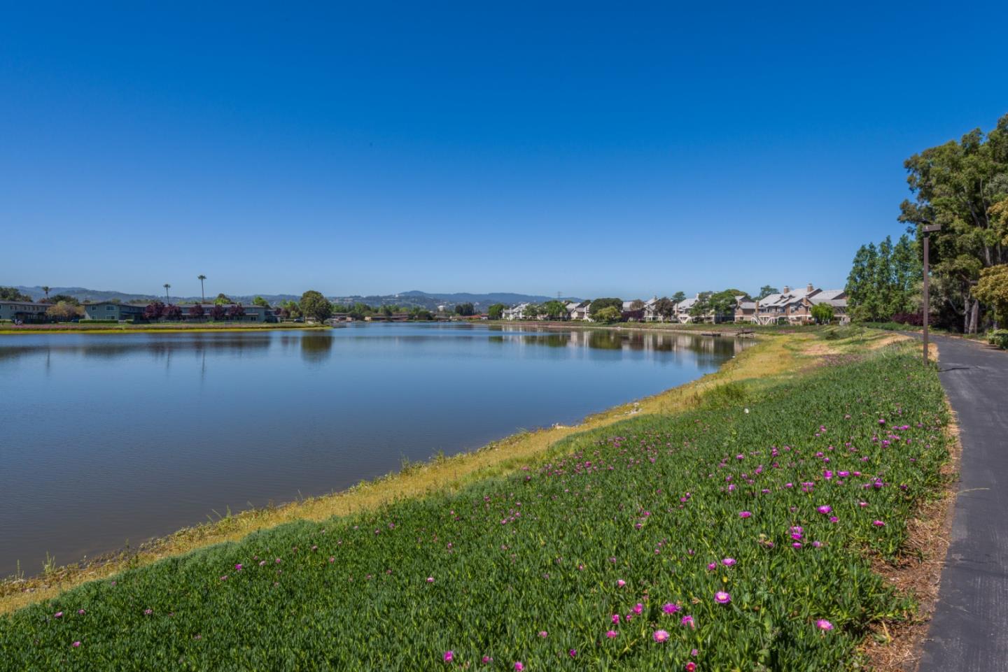 Detail Gallery Image 17 of 19 For 815 Sea Spray Ln #214,  Foster City,  CA 94404 - 1 Beds | 1 Baths