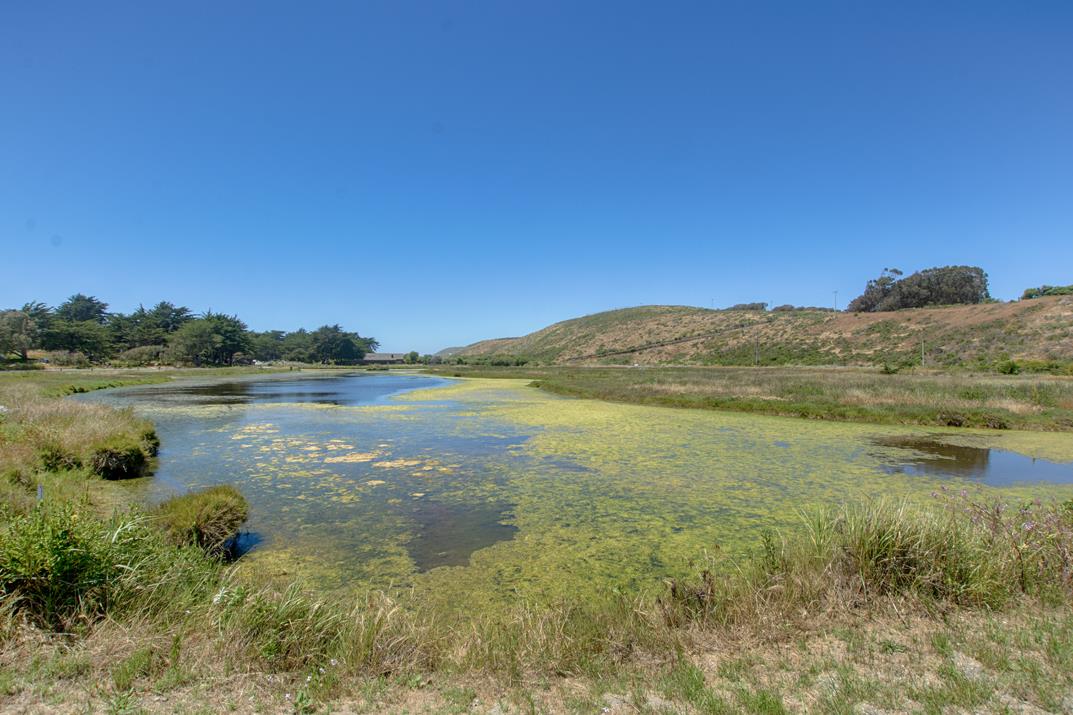 Detail Gallery Image 18 of 19 For 101 Shell Dr #182,  Watsonville,  CA 95076 - 2 Beds | 2 Baths