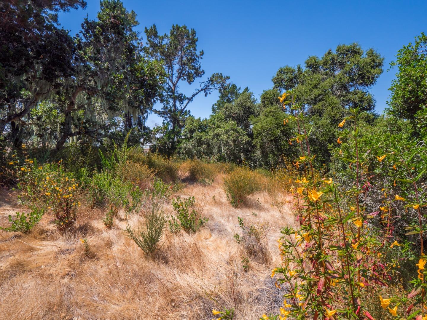 Detail Gallery Image 31 of 60 For 7765 Paseo Venado, Monterey,  CA 93940 - – Beds | – Baths