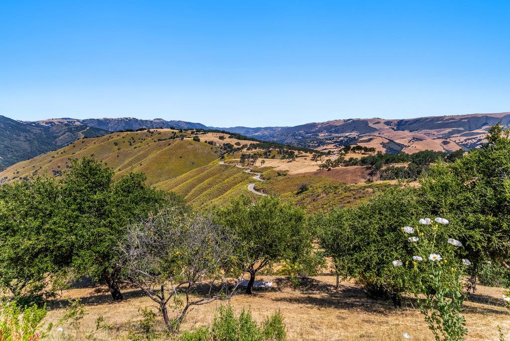 Detail Gallery Image 22 of 32 For 34901 Sky Ranch Rd, Carmel Valley,  CA 93924 - 2 Beds | 1 Baths