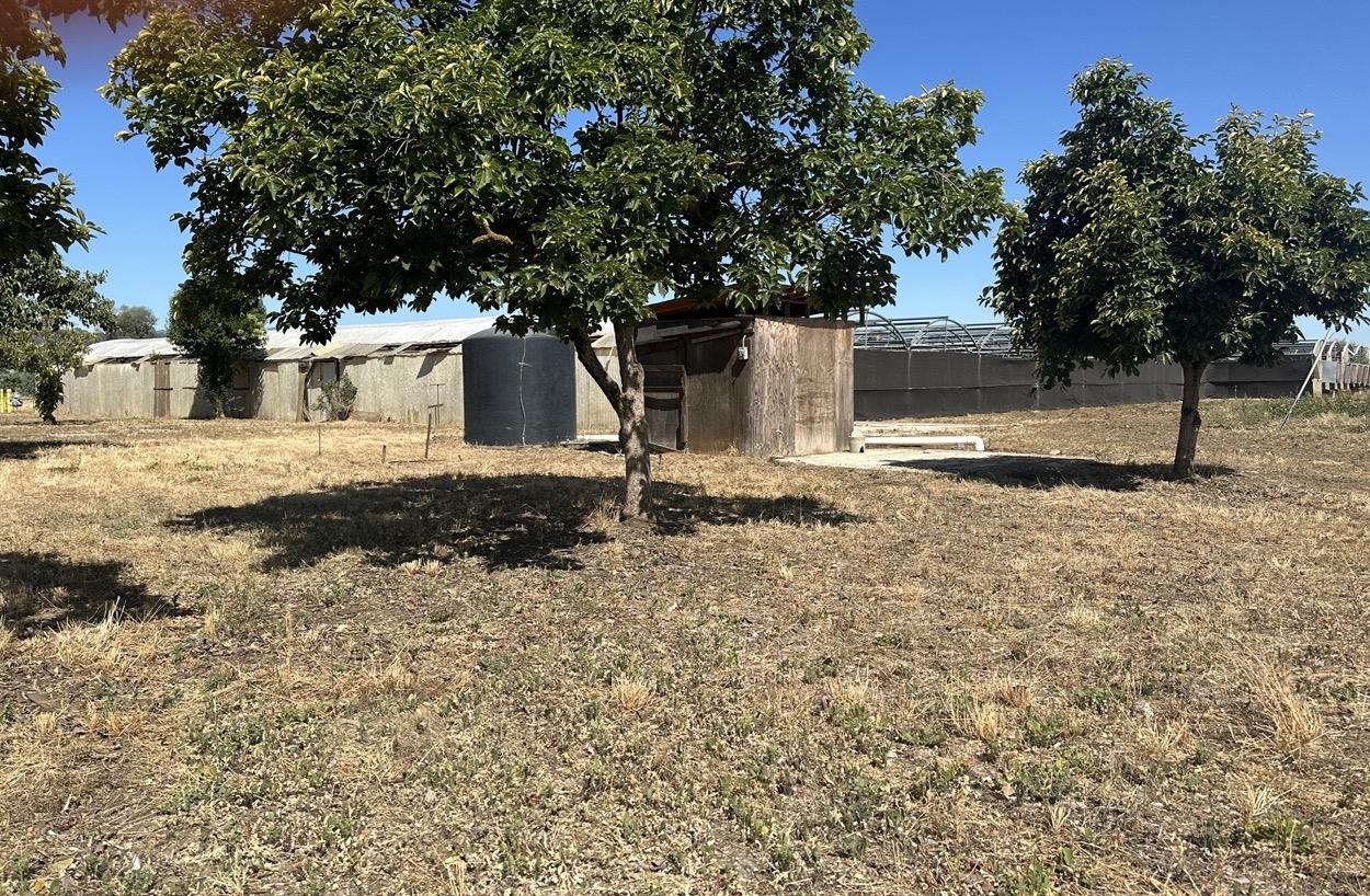 Detail Gallery Image 2 of 12 For 0 Llagas Ave, San Martin,  CA 95046 - – Beds | – Baths