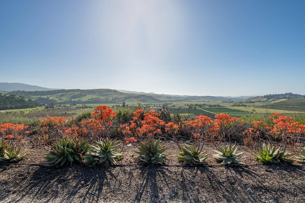 Detail Gallery Image 3 of 12 For 5181 Southside Rd, Hollister,  CA 95023 - – Beds | – Baths