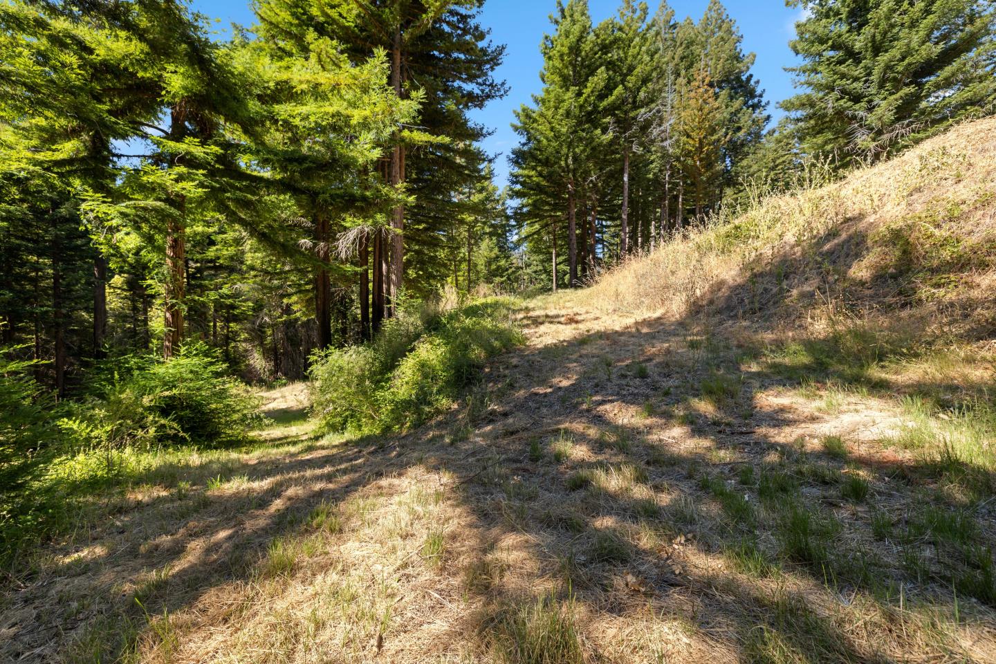 Detail Gallery Image 26 of 32 For 830 Kings Hwy, Boulder Creek,  CA 95006 - – Beds | – Baths