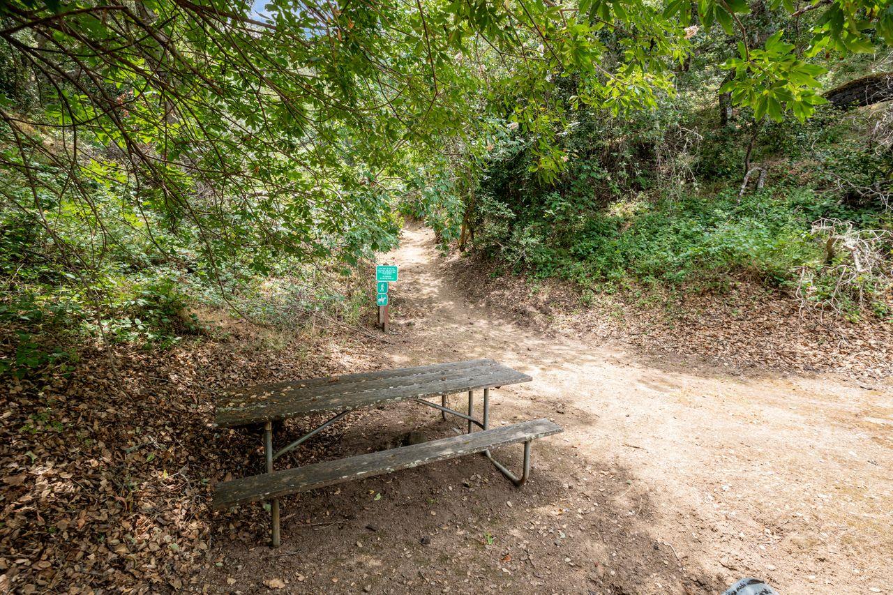 17 Sleepy Hollow Drive, Carmel Valley, California 93924, ,Land,For Sale,17 Sleepy Hollow Drive,ML81971208