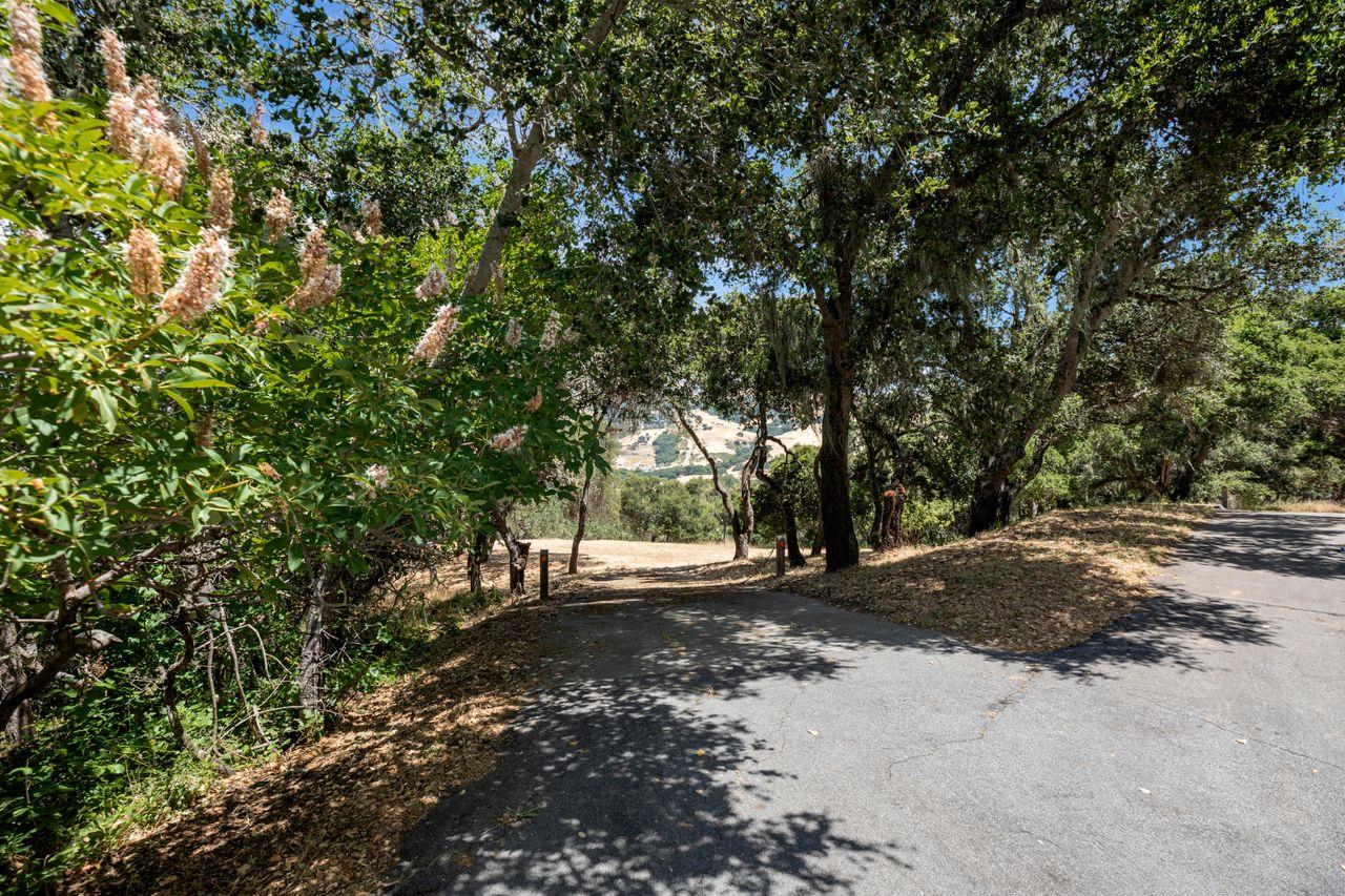 Detail Gallery Image 14 of 33 For 17 Sleepy Hollow Dr, Carmel Valley,  CA 93924 - – Beds | – Baths