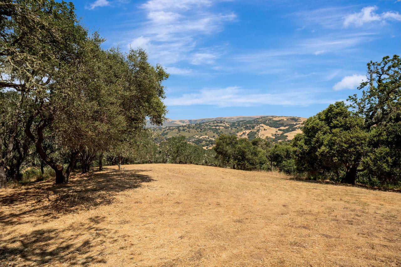 17 Sleepy Hollow Drive, Carmel Valley, California 93924, ,Land,For Sale,17 Sleepy Hollow Drive,ML81971208