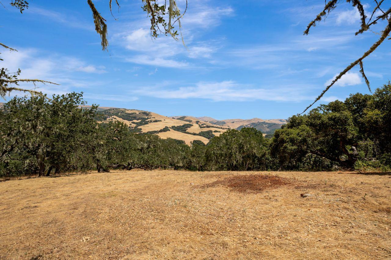 17 Sleepy Hollow Drive, Carmel Valley, California 93924, ,Land,For Sale,17 Sleepy Hollow Drive,ML81971208