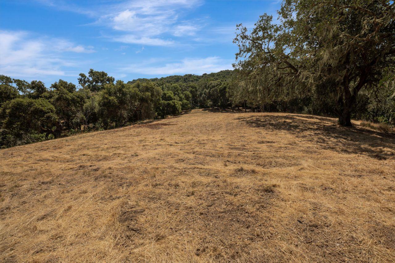 17 Sleepy Hollow Drive, Carmel Valley, California 93924, ,Land,For Sale,17 Sleepy Hollow Drive,ML81971208