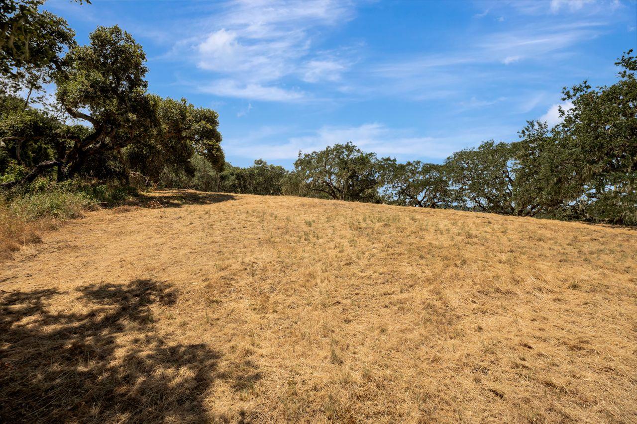 17 Sleepy Hollow Drive, Carmel Valley, California 93924, ,Land,For Sale,17 Sleepy Hollow Drive,ML81971208