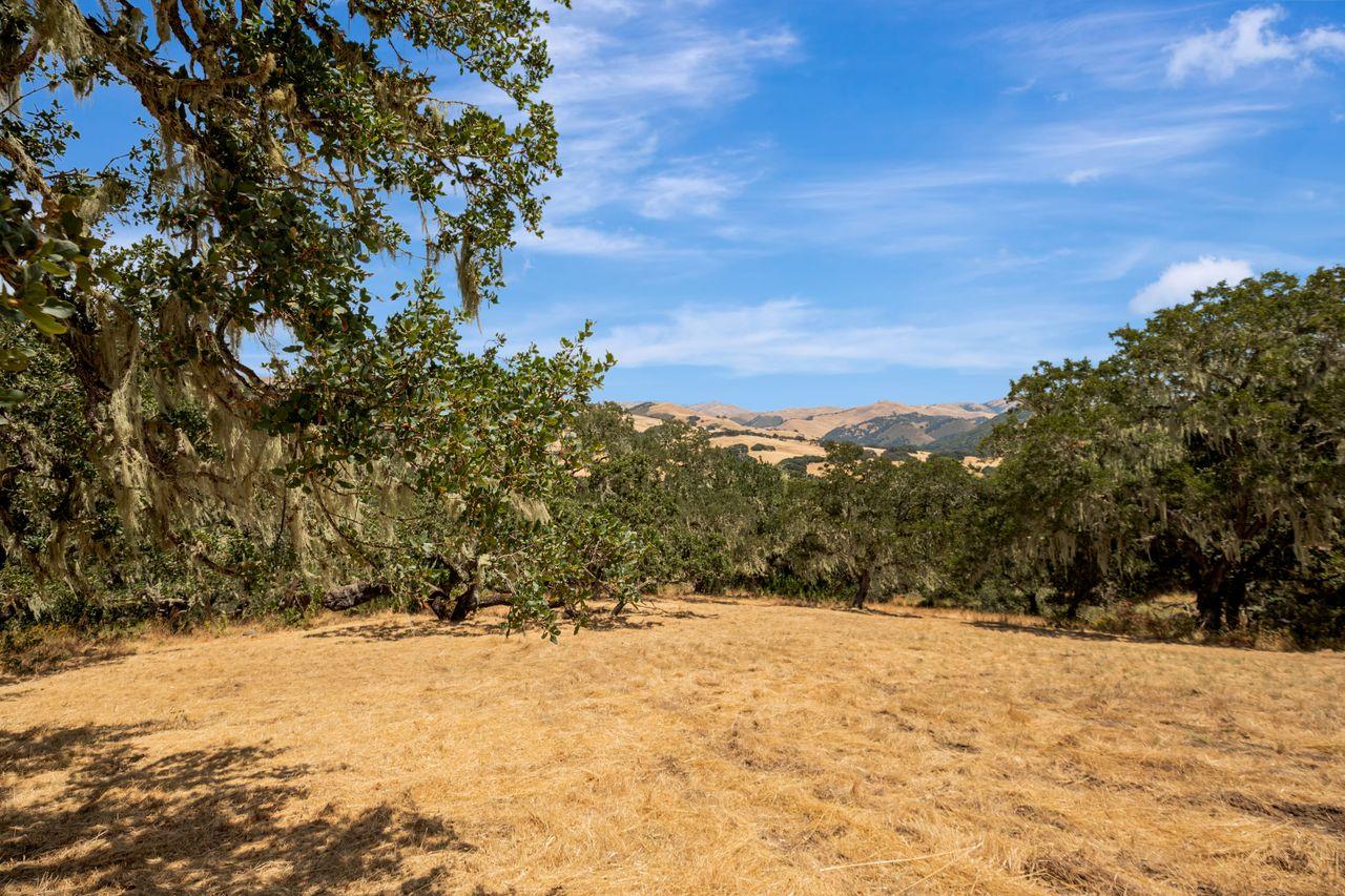 17 Sleepy Hollow Drive, Carmel Valley, California 93924, ,Land,For Sale,17 Sleepy Hollow Drive,ML81971208