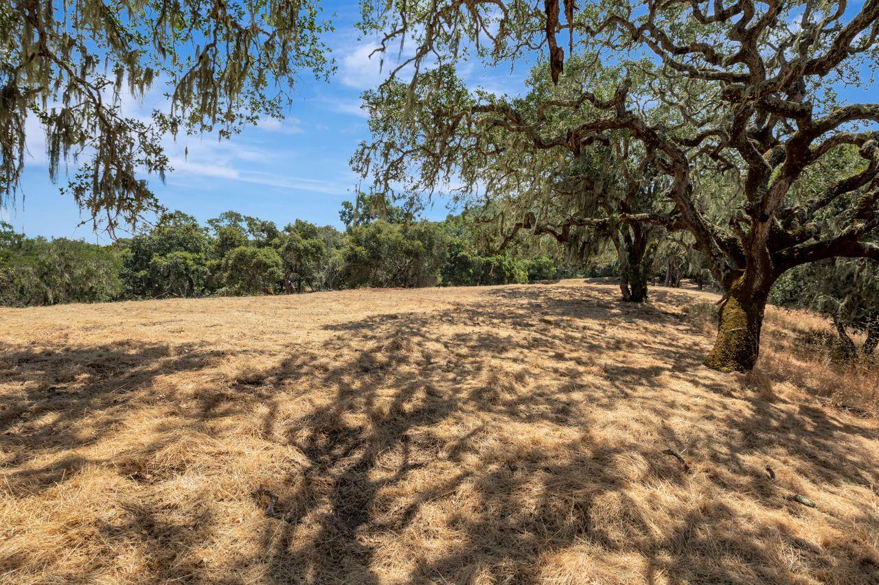 17 Sleepy Hollow Drive, Carmel Valley, California 93924, ,Land,For Sale,17 Sleepy Hollow Drive,ML81971208