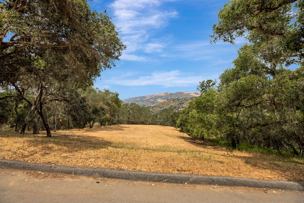 17 Sleepy Hollow Drive, Carmel Valley, California 93924, ,Land,For Sale,17 Sleepy Hollow Drive,ML81971208