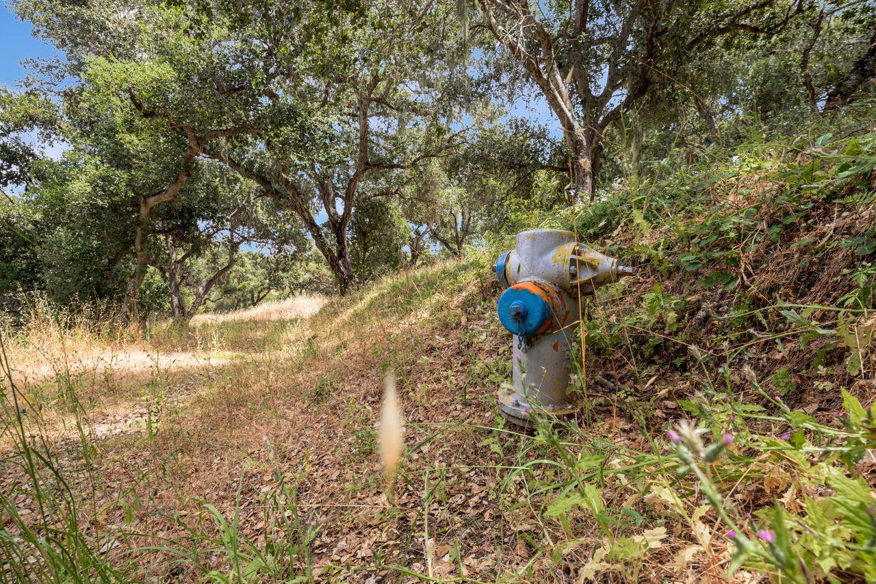 17 Sleepy Hollow Drive, Carmel Valley, California 93924, ,Land,For Sale,17 Sleepy Hollow Drive,ML81971208