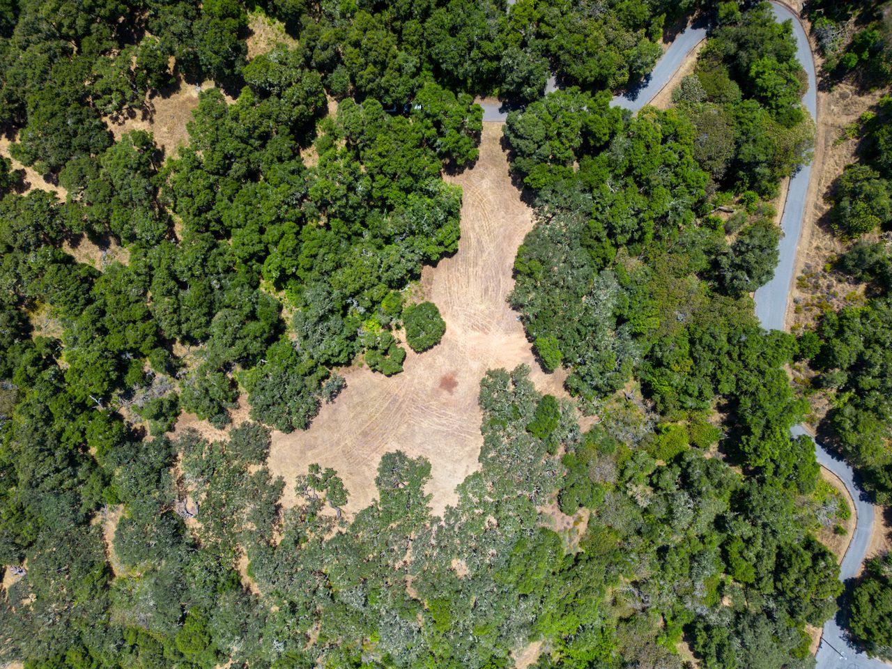 17 Sleepy Hollow Drive, Carmel Valley, California 93924, ,Land,For Sale,17 Sleepy Hollow Drive,ML81971208