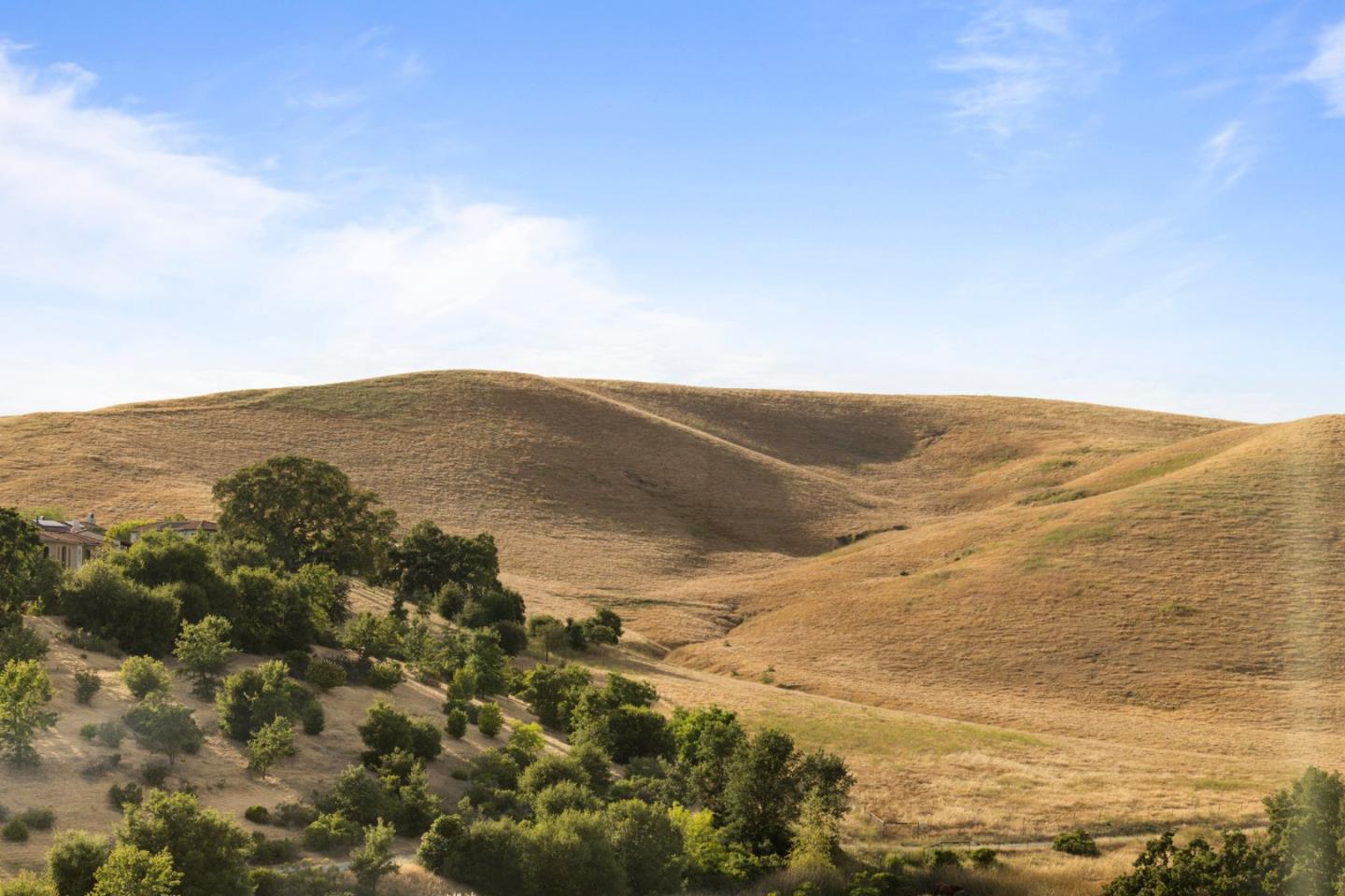 Detail Gallery Image 31 of 61 For 3201 Sleeping Meadow Way, San Ramon,  CA 94582 - 4 Beds | 2/1 Baths