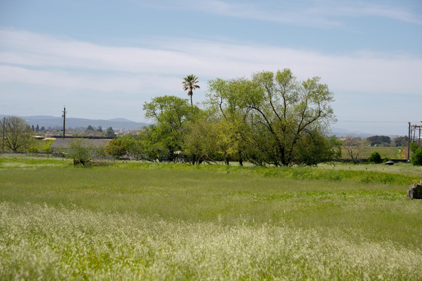 Detail Gallery Image 11 of 11 For 540 Old Natividad Rd, Salinas,  CA 93908 - – Beds | – Baths