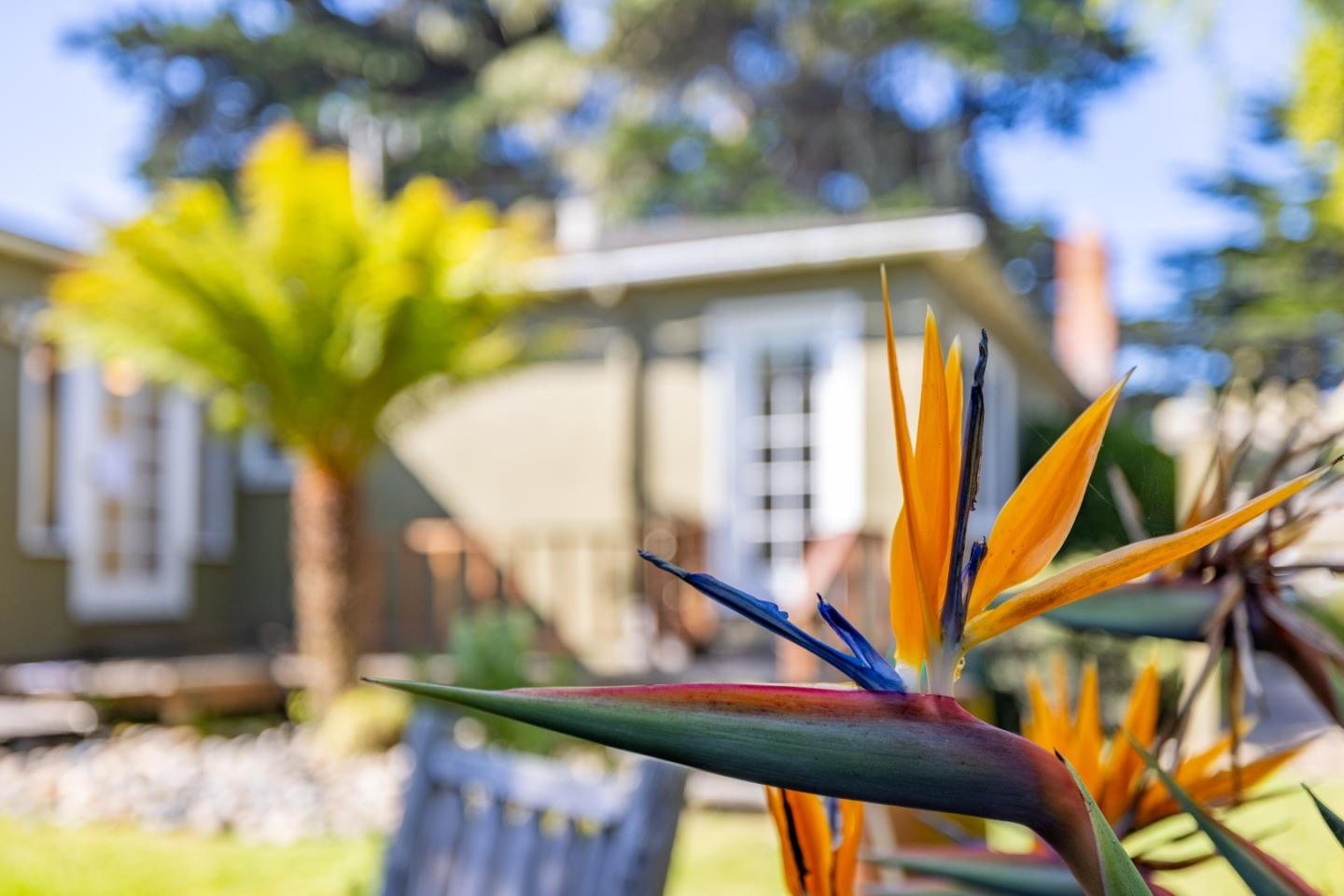 Detail Gallery Image 14 of 46 For 970 Sea Palm Ave, Pacific Grove,  CA 93950 - 2 Beds | 2 Baths