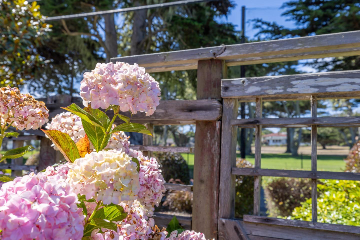 Detail Gallery Image 24 of 46 For 970 Sea Palm Ave, Pacific Grove,  CA 93950 - 2 Beds | 2 Baths