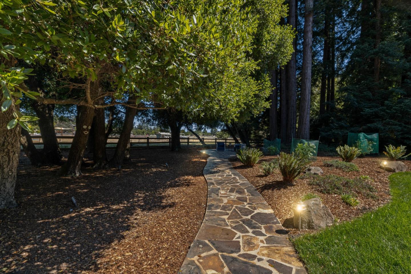 Detail Gallery Image 101 of 115 For 610 Henry Cowell Dr, Santa Cruz,  CA 95060 - 4 Beds | 3/1 Baths