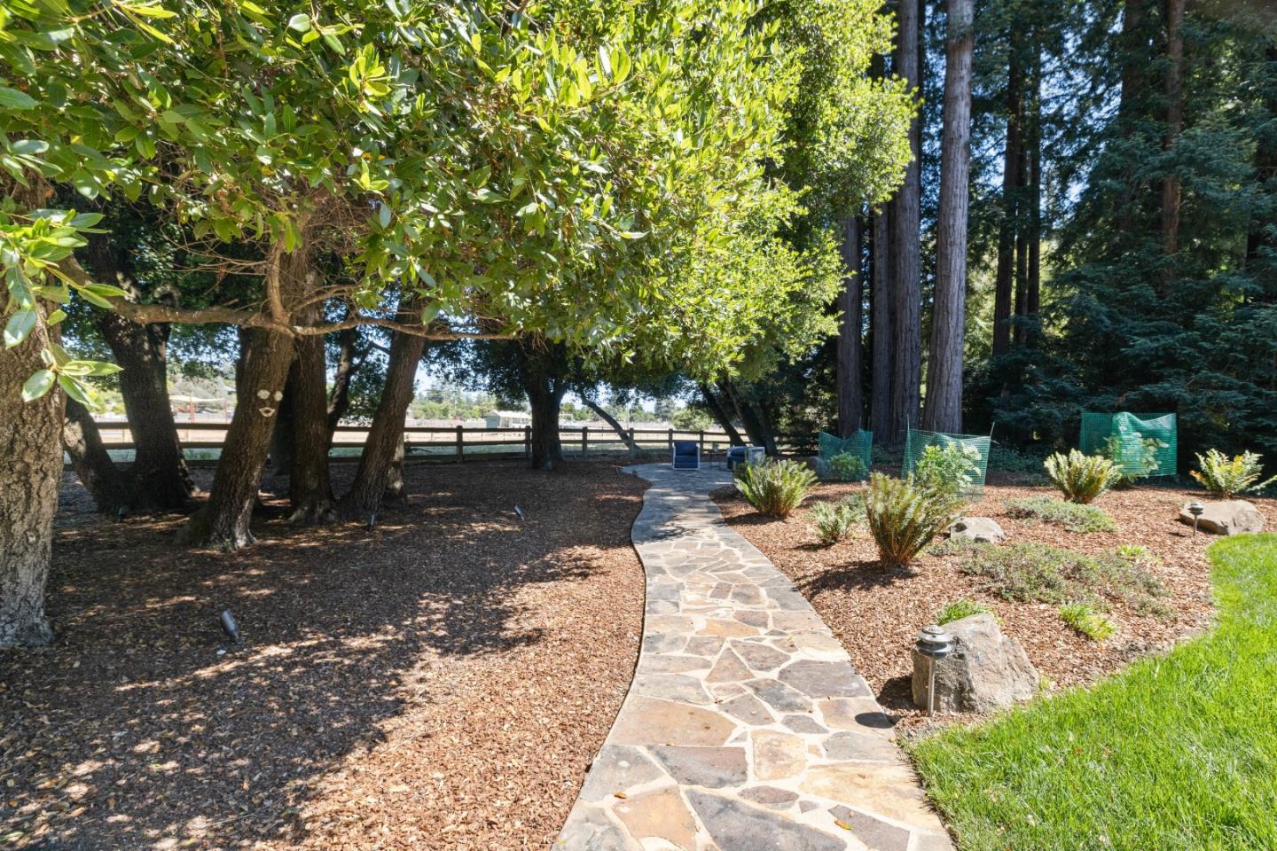 Detail Gallery Image 65 of 115 For 610 Henry Cowell Dr, Santa Cruz,  CA 95060 - 4 Beds | 3/1 Baths