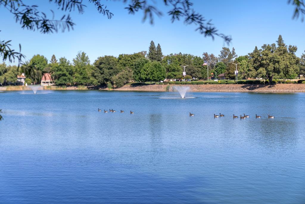 Detail Gallery Image 49 of 51 For 14950 Anillo Way, Rancho Murieta,  CA 95683 - 4 Beds | 3 Baths