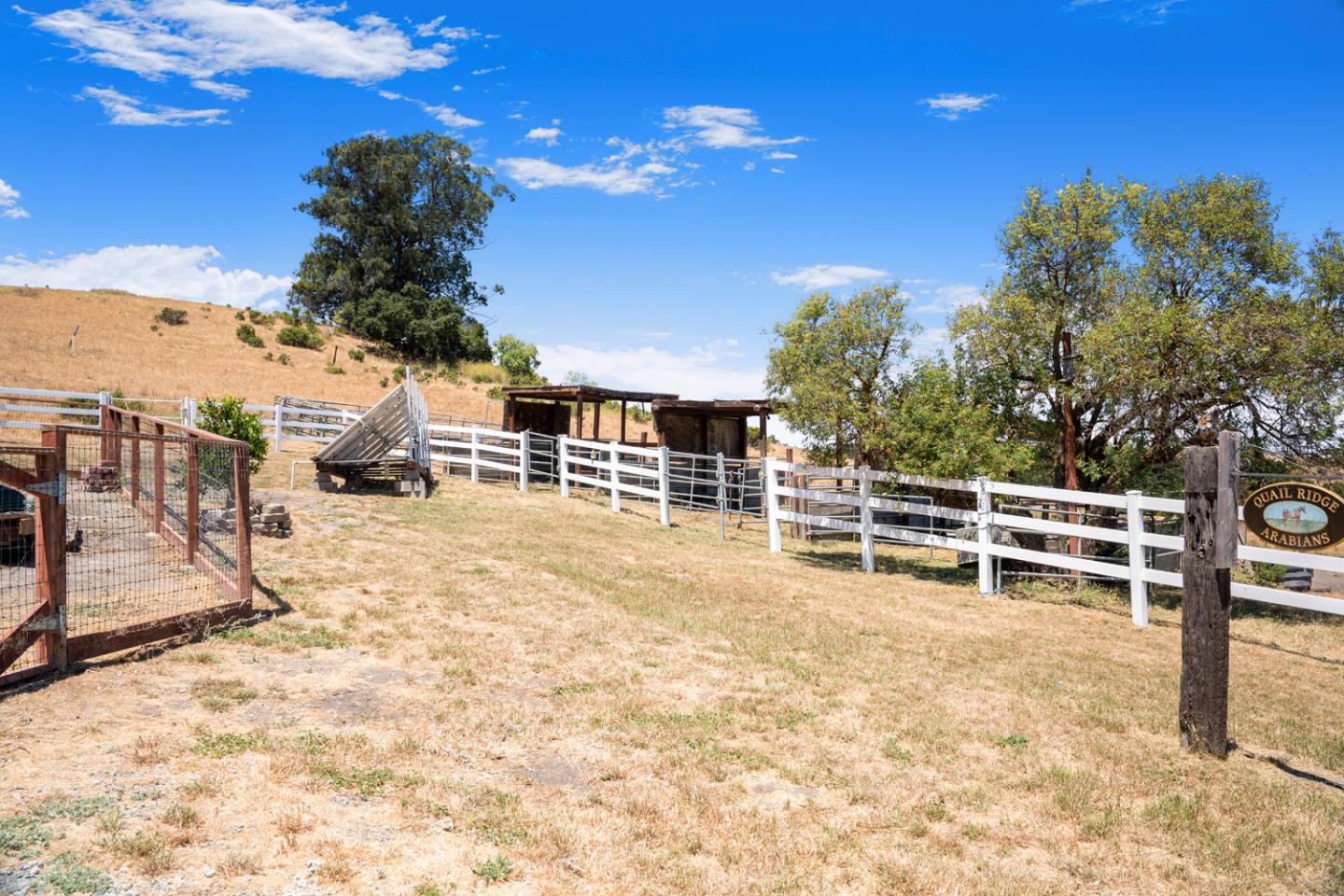 Detail Gallery Image 15 of 26 For 1537 School Rd, San Juan Bautista,  CA 95045 - – Beds | – Baths