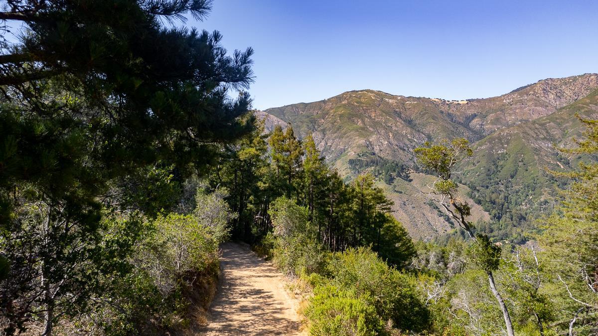 Detail Gallery Image 10 of 32 For 0 Pfeiffer Ridge Road, Big Sur Coast,  CA 93920 - – Beds | – Baths