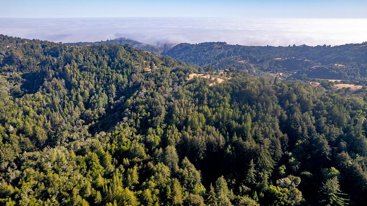 Detail Gallery Image 12 of 32 For 0 Pfeiffer Ridge Road, Big Sur Coast,  CA 93920 - – Beds | – Baths