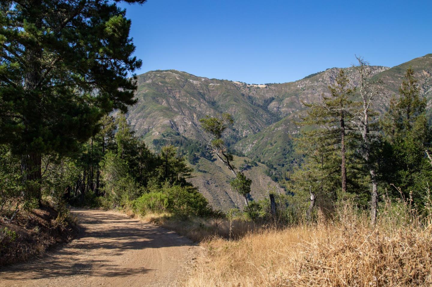 Detail Gallery Image 17 of 32 For 0 Pfeiffer Ridge Road, Big Sur Coast,  CA 93920 - – Beds | – Baths