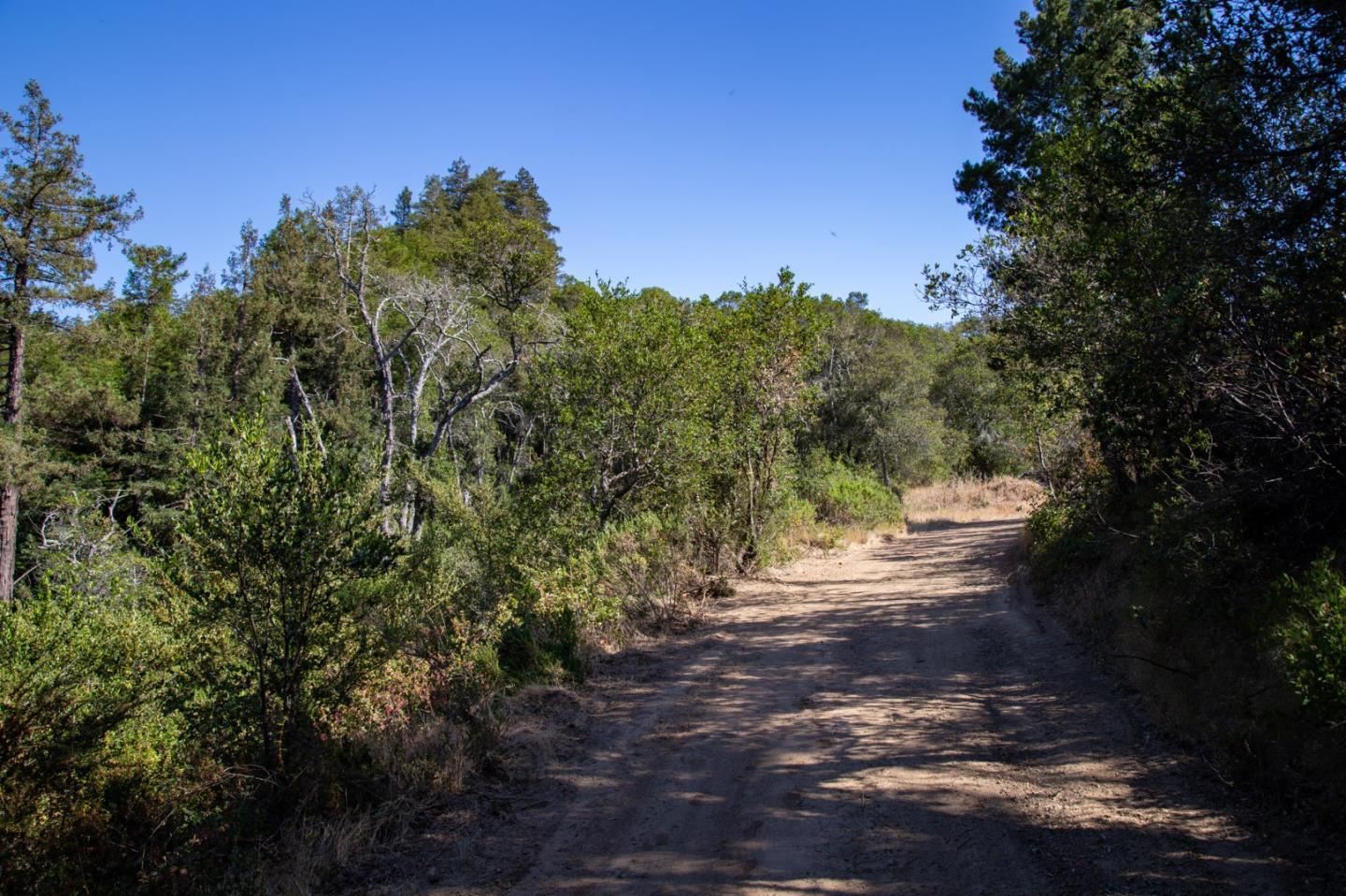 Detail Gallery Image 18 of 32 For 0 Pfeiffer Ridge Road, Big Sur Coast,  CA 93920 - – Beds | – Baths