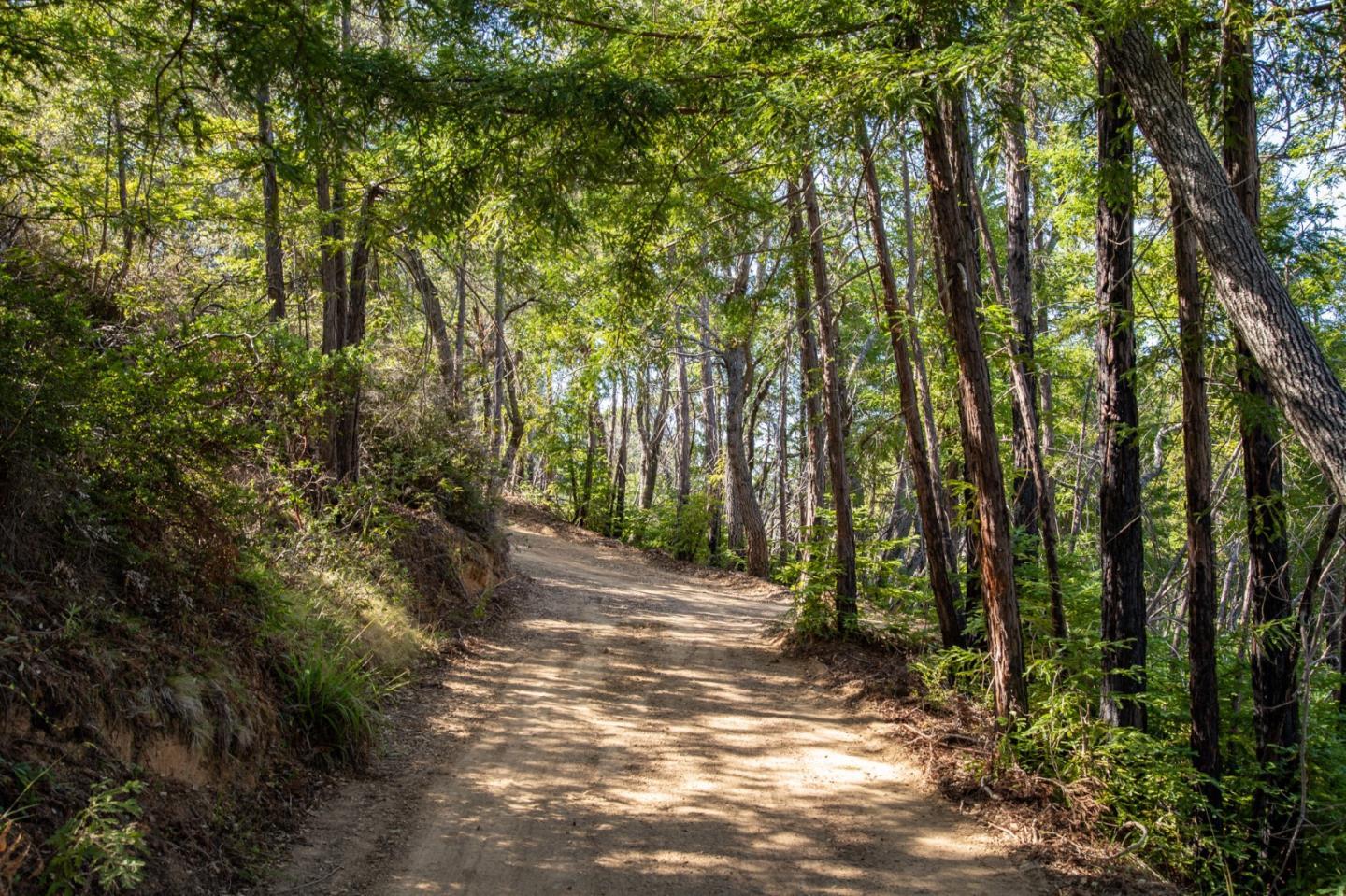 Detail Gallery Image 19 of 32 For 0 Pfeiffer Ridge Road, Big Sur,  CA 93920 - – Beds | – Baths