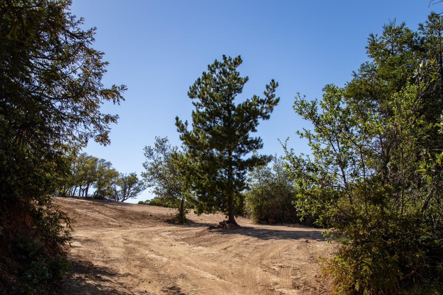 Detail Gallery Image 20 of 32 For 0 Pfeiffer Ridge Road, Big Sur Coast,  CA 93920 - – Beds | – Baths