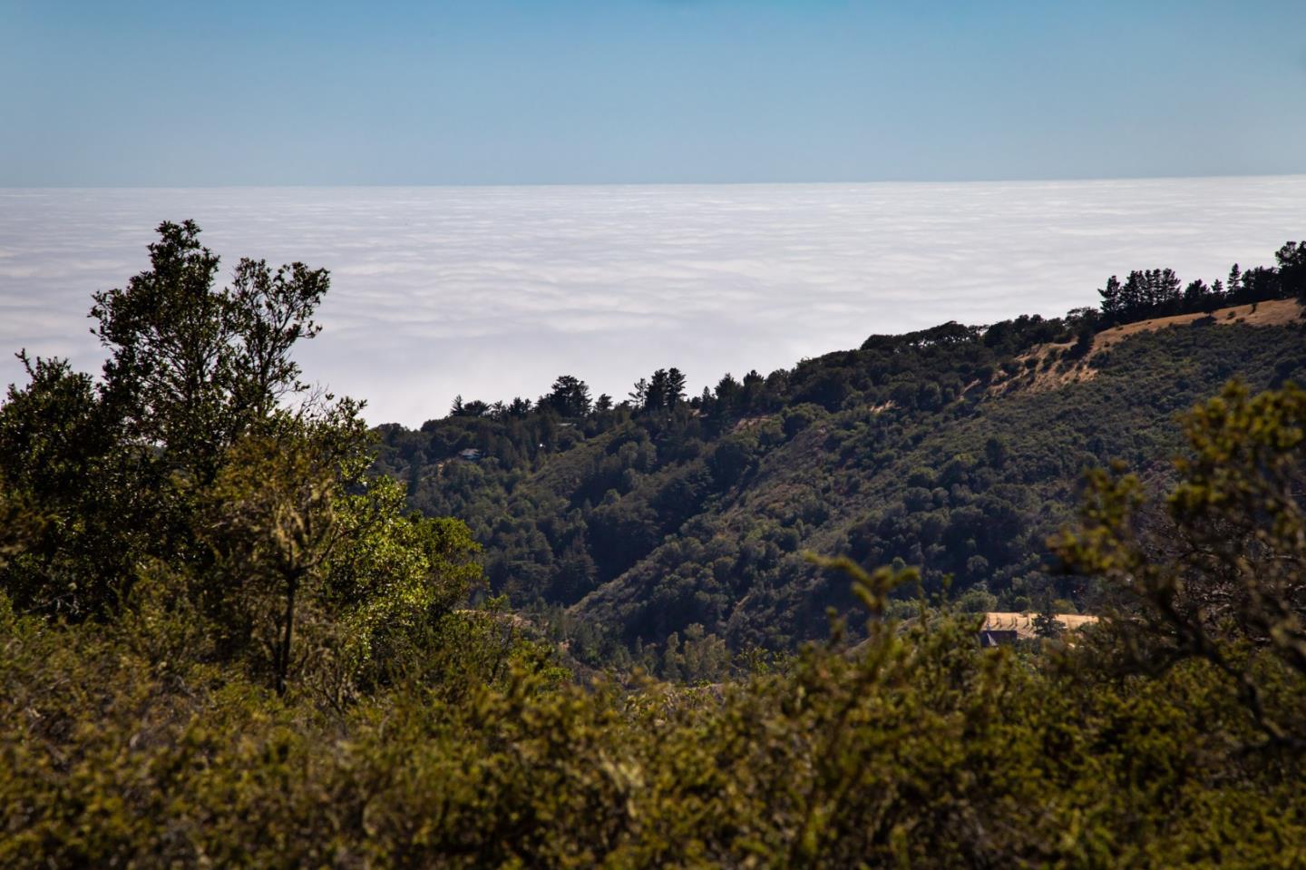 Detail Gallery Image 22 of 32 For 0 Pfeiffer Ridge Road, Big Sur Coast,  CA 93920 - – Beds | – Baths