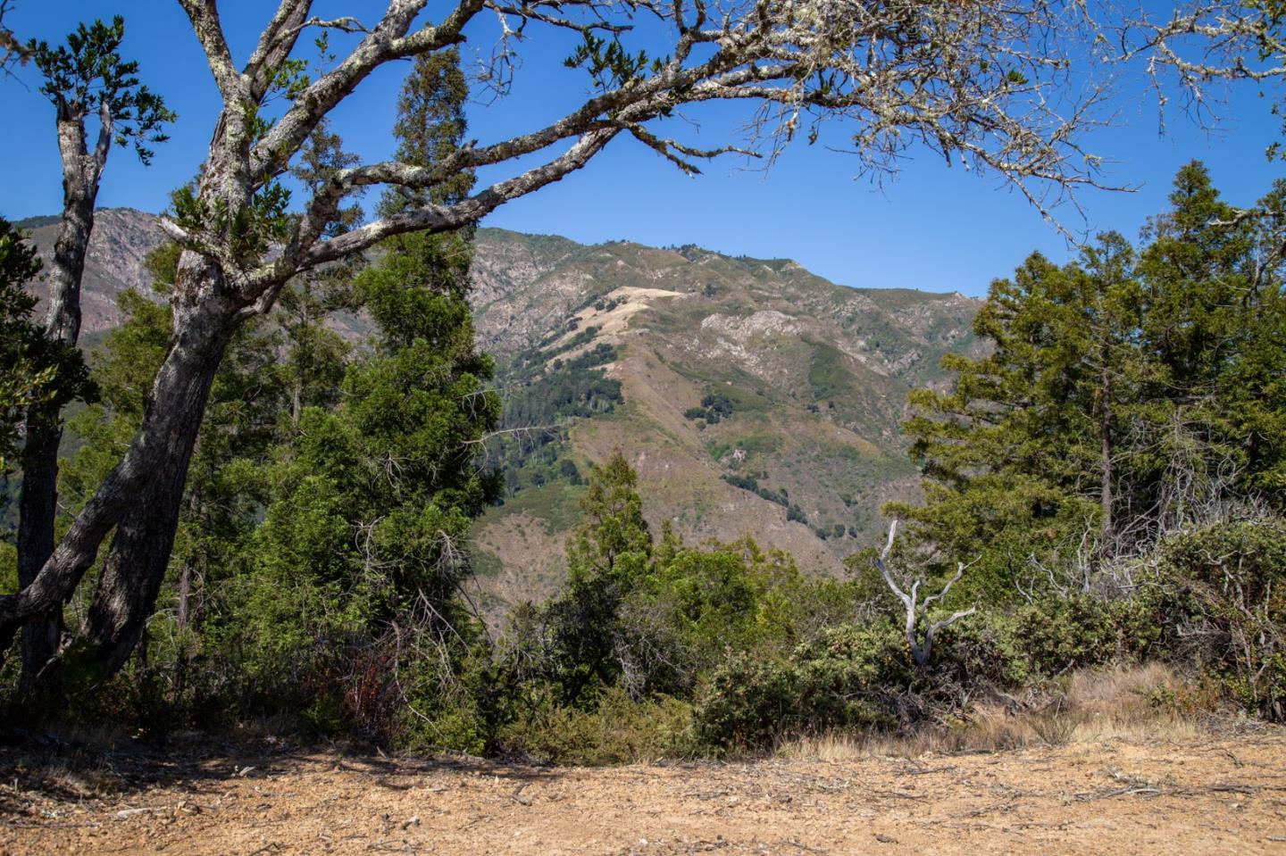 Detail Gallery Image 23 of 32 For 0 Pfeiffer Ridge Road, Big Sur,  CA 93920 - – Beds | – Baths